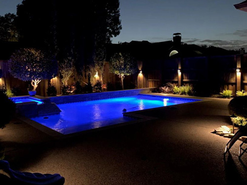 Summer Nights
