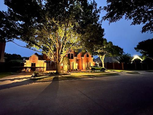 Commercial Landscape Lighting