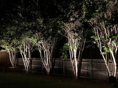 Tree Lighting