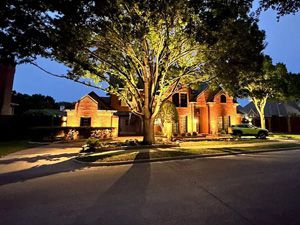 Landscape Lighting