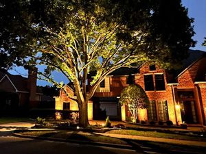 Landscape Lighting Design - View 1, Plano, TX