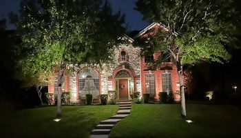 Landscape Lighting Installation s6